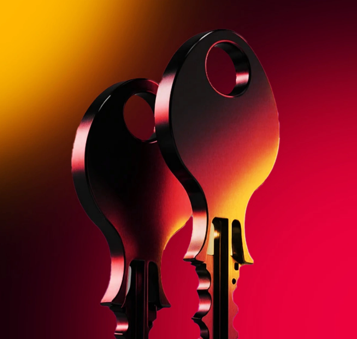 Original high-contrast photography composition